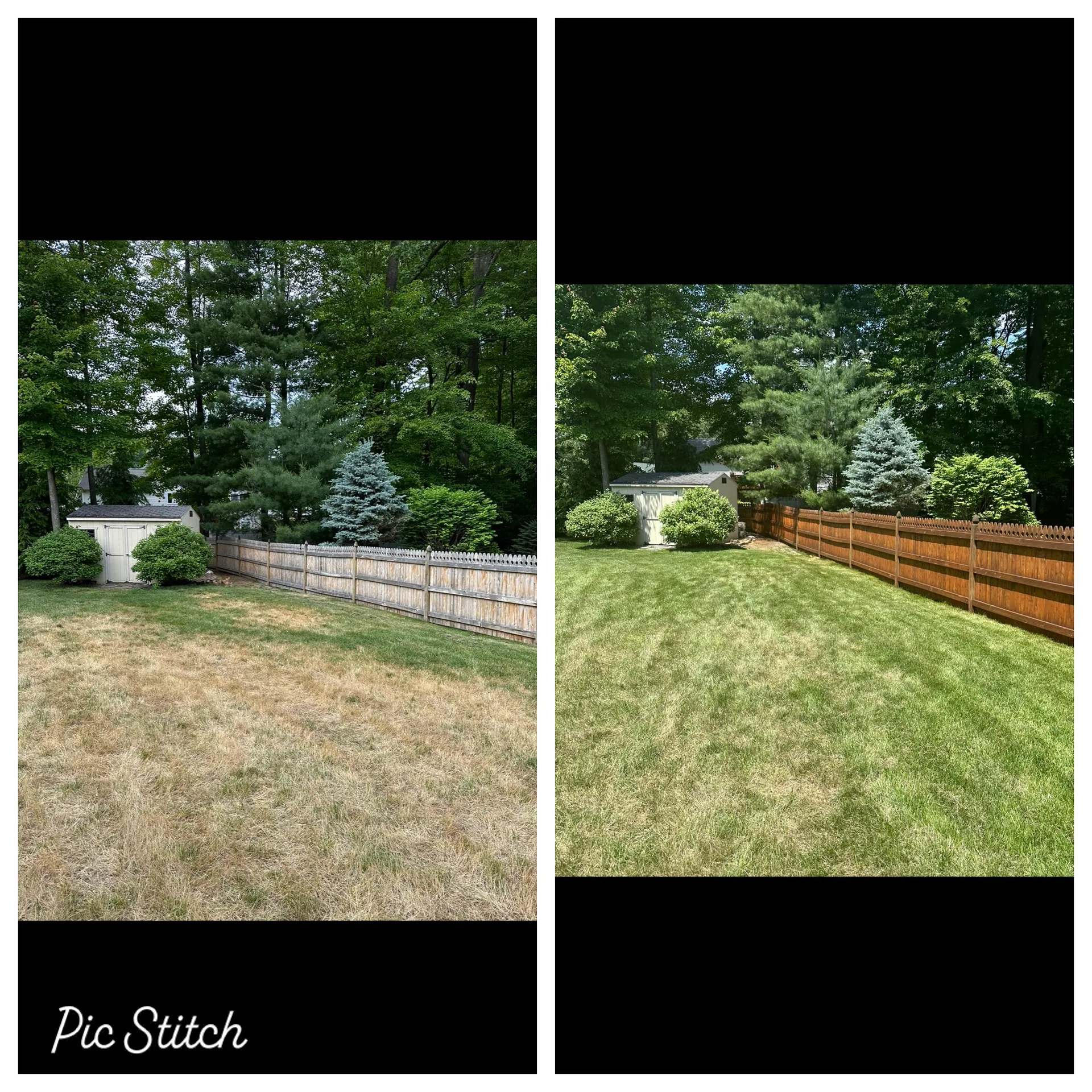 Yard and fence before and after