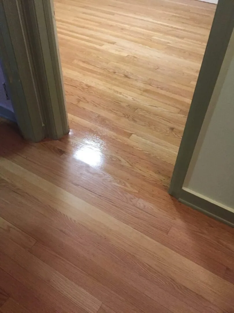 New doorway and casing installed during an interior remodel