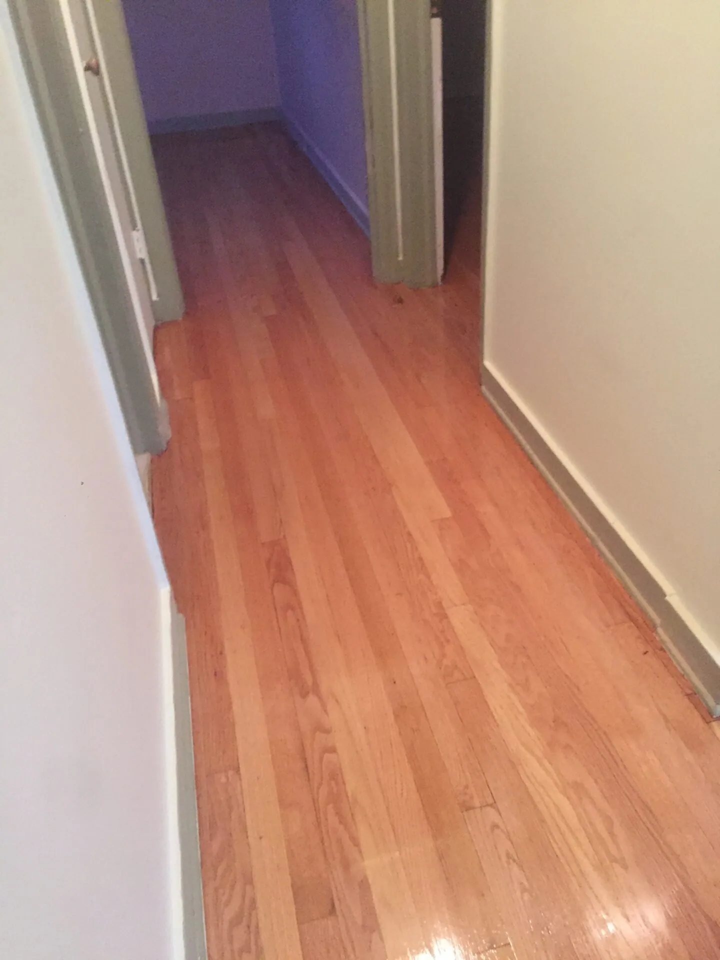 Refinished hardwood floor in a renovated hallway