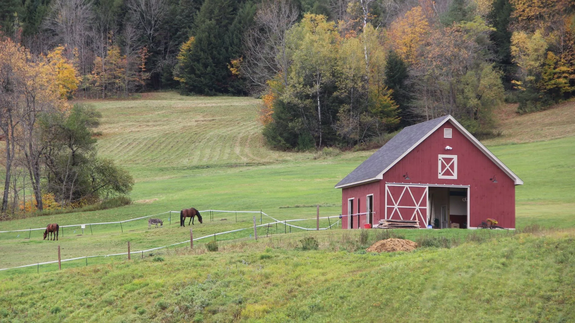 Detached timber workshop building on a rural property